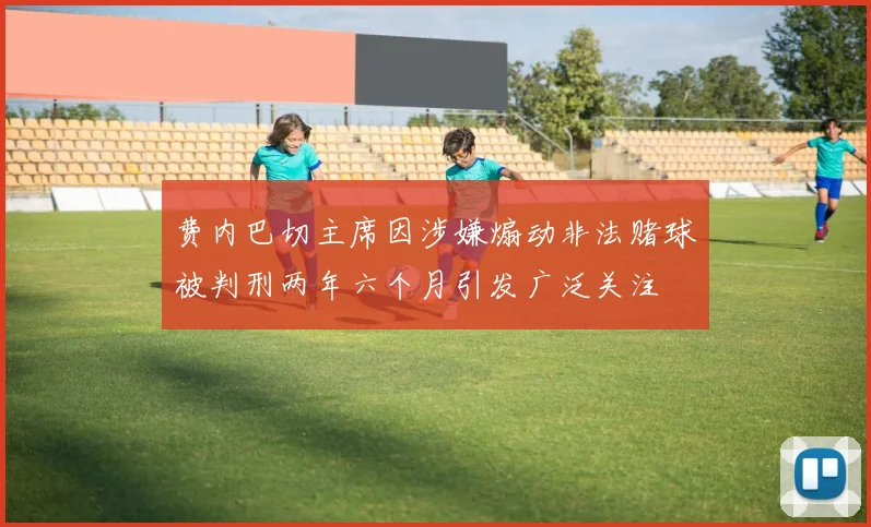 费内巴切主席因涉嫌煽动非法赌球被判刑两年六个月引发广泛关注