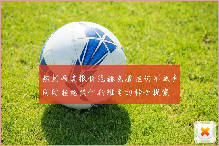热刺两度报价范赫克遭拒仍不放弃同时拒绝武什科维奇的转会提案